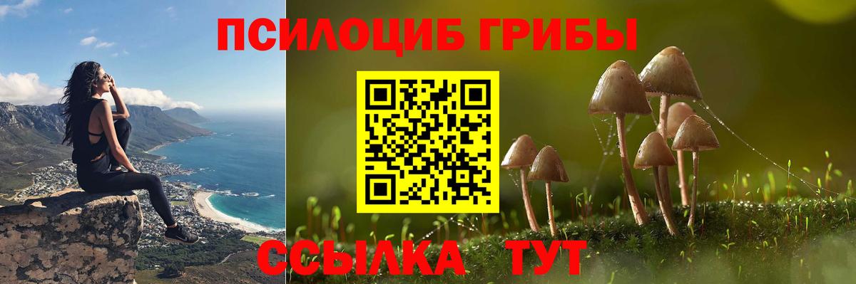 Волоколамск  сколько стоит  Вход с VPN  Псилоцибиновые грибы прущие грибы 